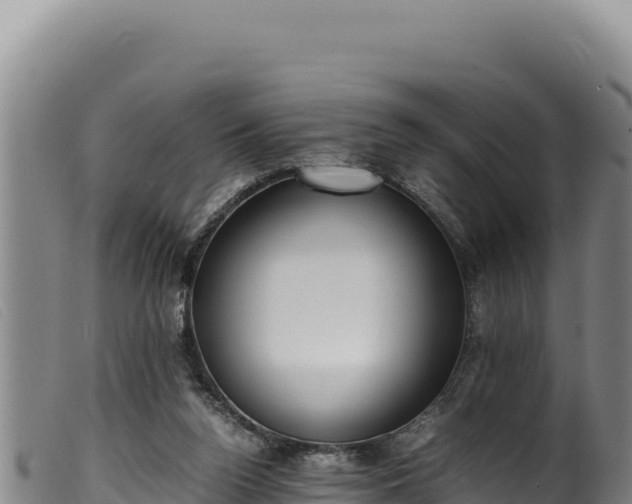 X0000099550160200805231200