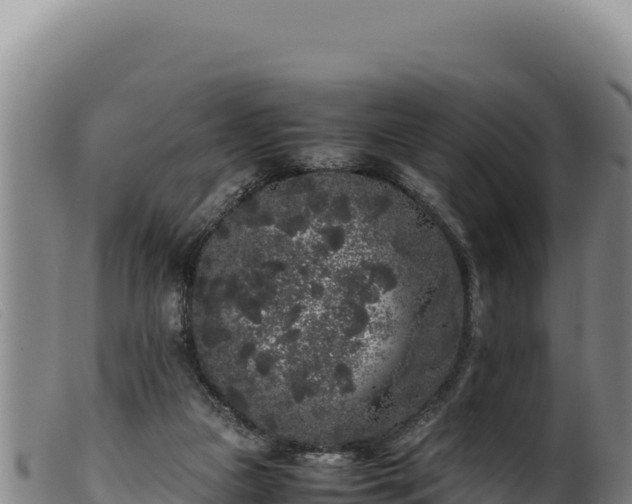 X0000099550161200805231200