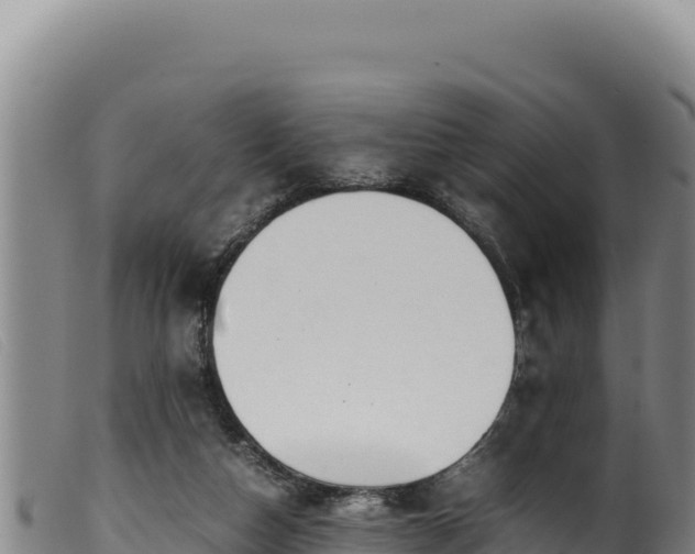 X0000099550162200805231200