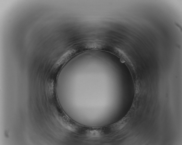 X0000099550163200805231200