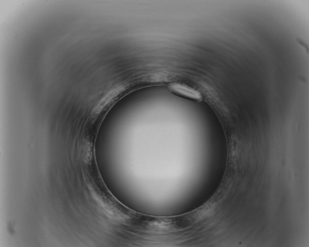 X0000099550164200805231200