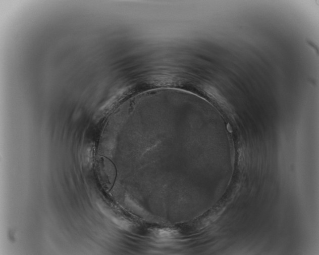 X0000099550165200805231200