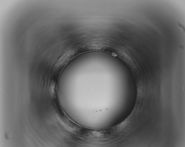 X0000099550166200805231200