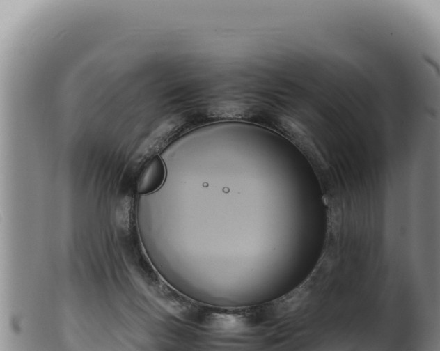 X0000099550167200805231200