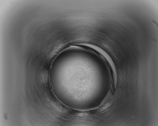 X0000099550168200805231200