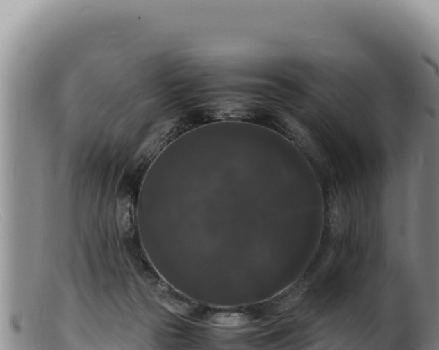 X0000099550169200805231200