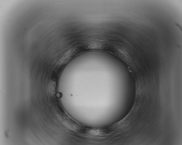 X0000099550171200805231200