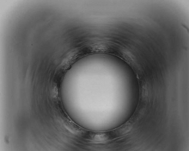 X0000099550173200805231200