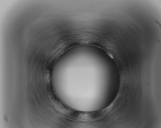 X0000099550174200805231200