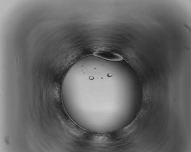 X0000099550175200805231200