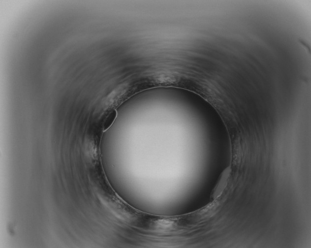 X0000099550176200805231200