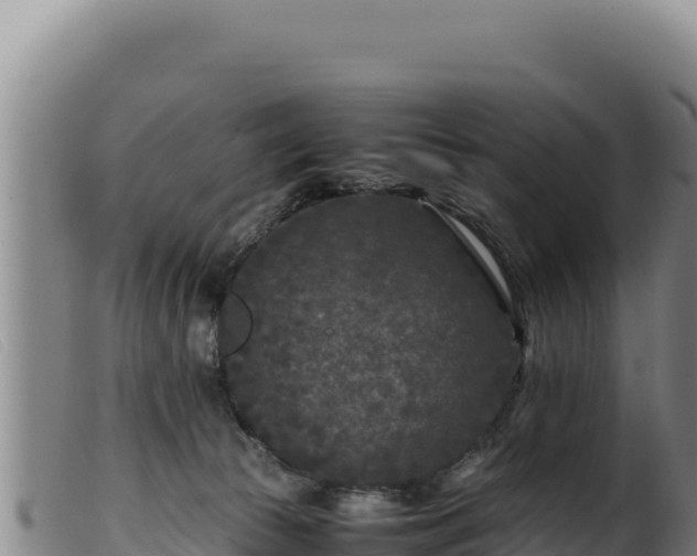 X0000099550177200805231200