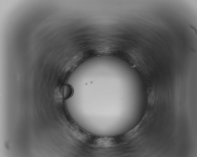 X0000099550179200805231200