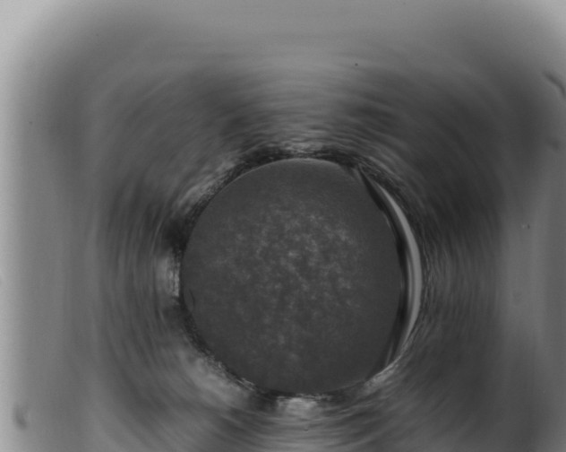 X0000099550180200805231200