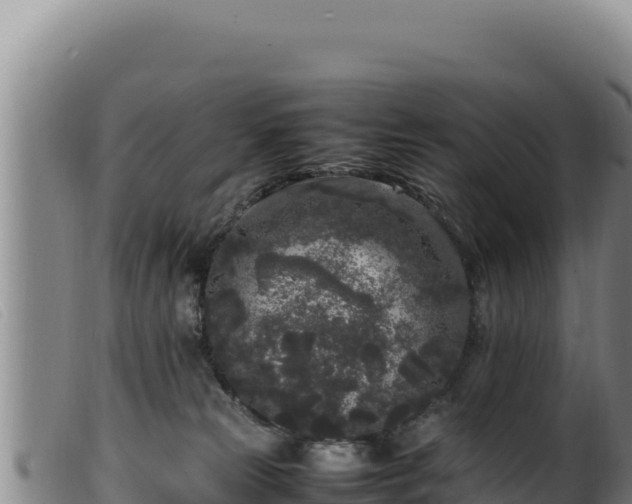 X0000099550181200805231200