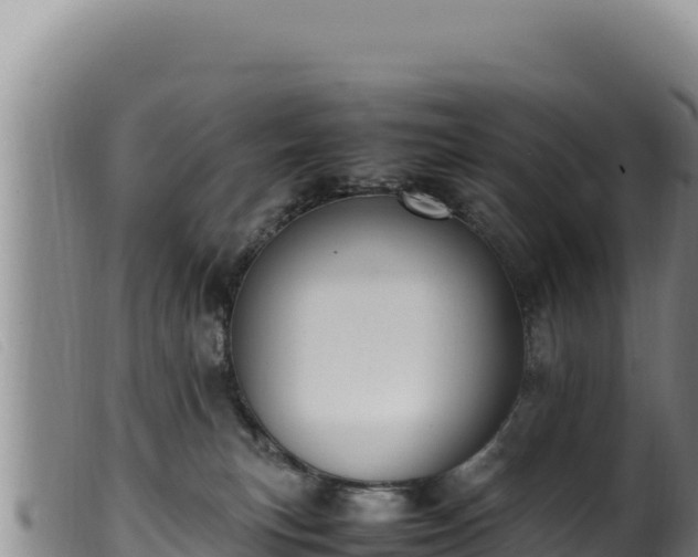 X0000099550183200805231200