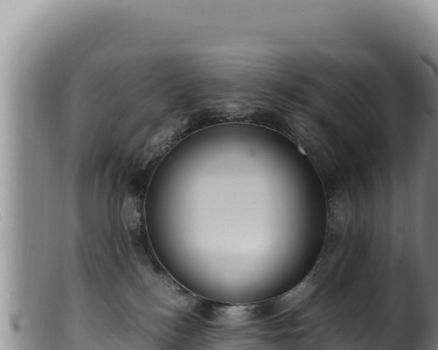 X0000099550184200805231200