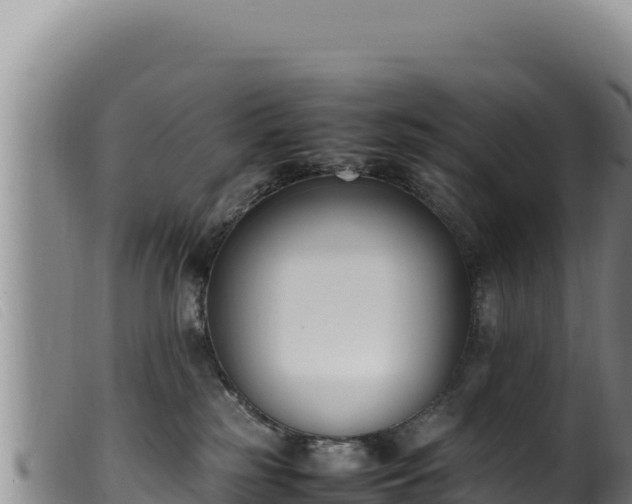 X0000099550185200805231200