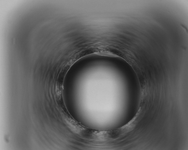 X0000099550186200805231200