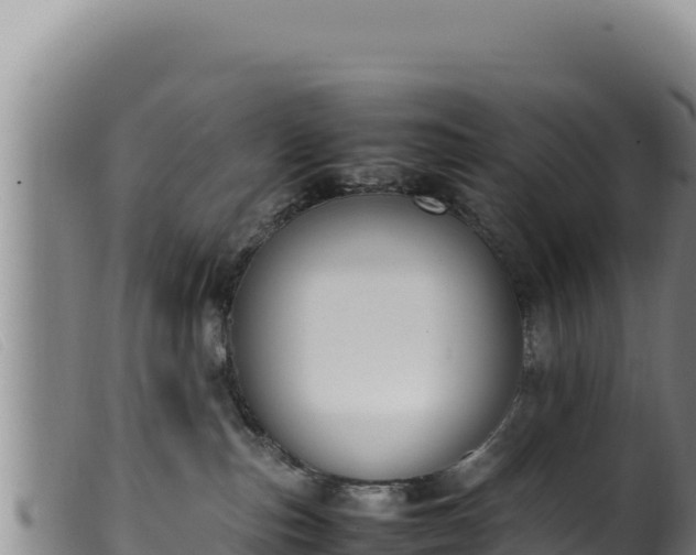 X0000099550187200805231200