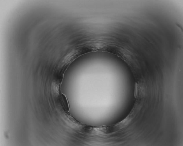 X0000099550188200805231200