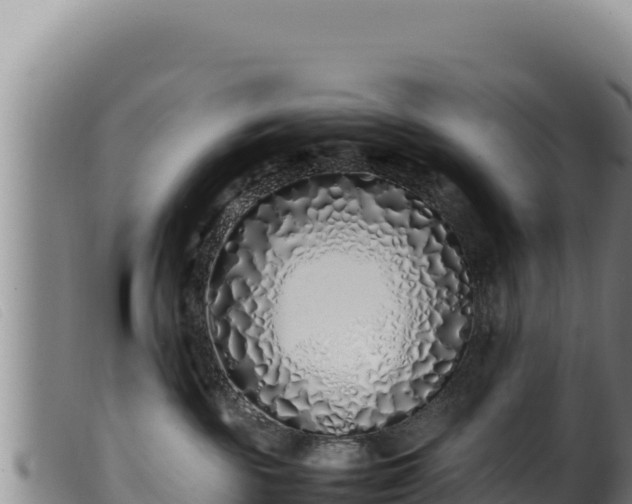 X0000099550189200805231200