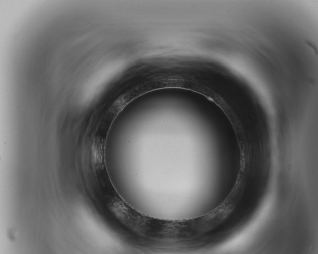 X0000099550190200805231200