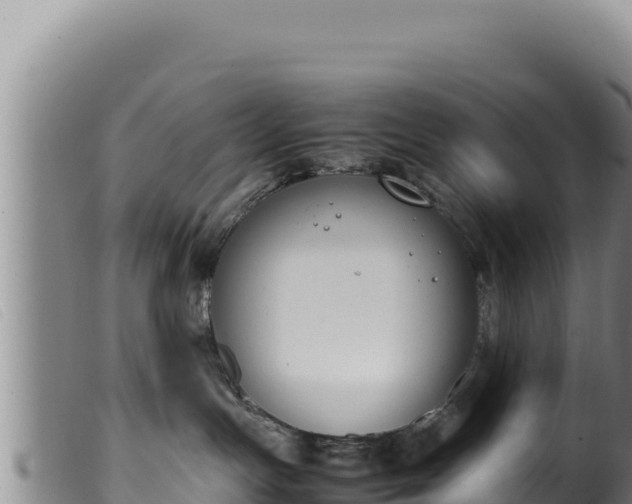 X0000099550191200805231200