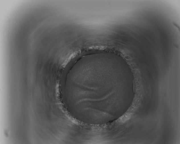 X0000099550192200805231200