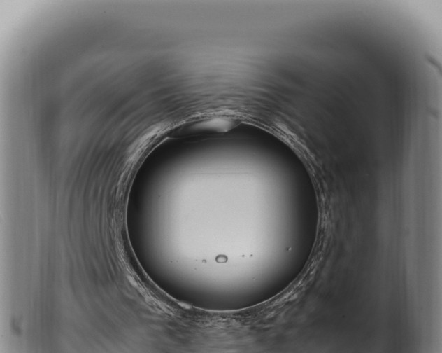 X0000099550193200805231159