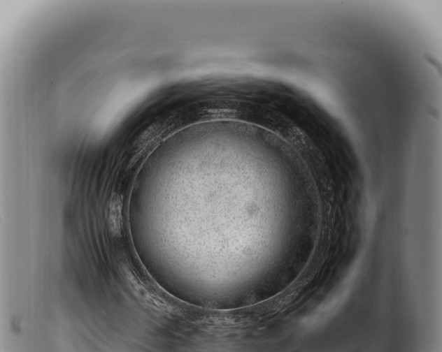 X0000099550194200805231159