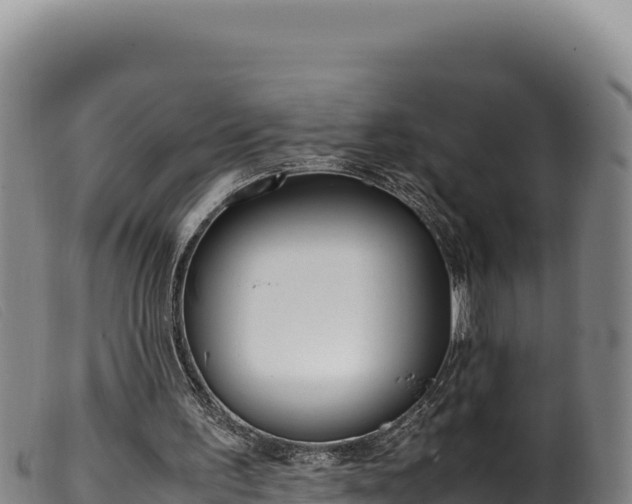 X0000099550195200805231159