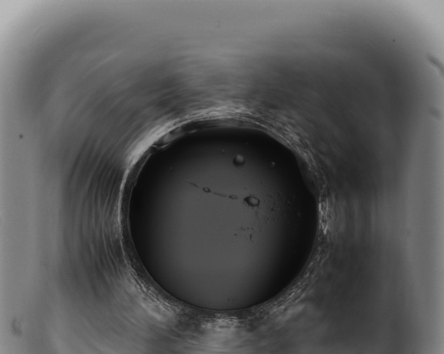 X0000099550196200805231159