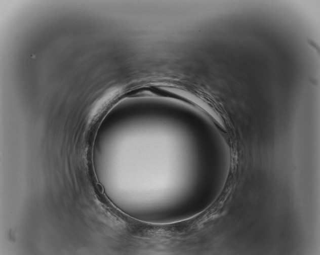 X0000099550197200805231159