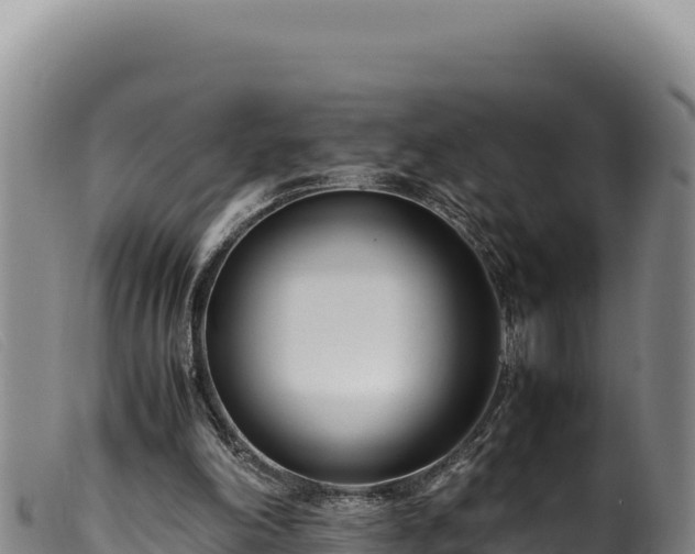 X0000099550198200805231159