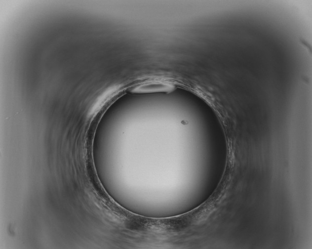 X0000099550199200805231159