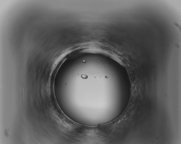 X0000099550200200805231159