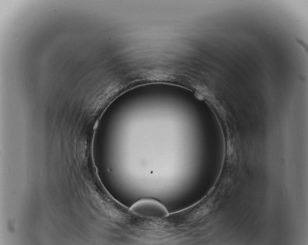 X0000099550201200805231159