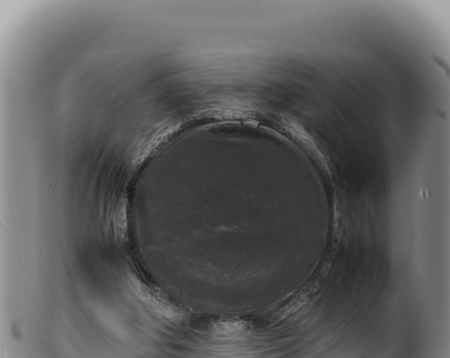 X0000099550202200805231159