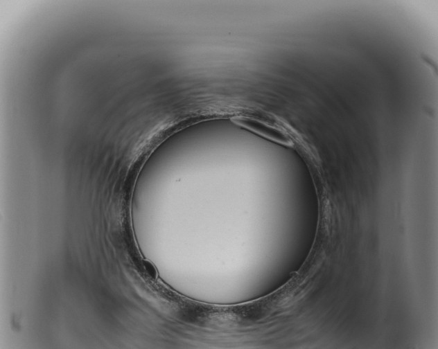 X0000099550203200805231159