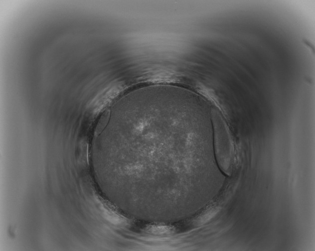 X0000099550205200805231159