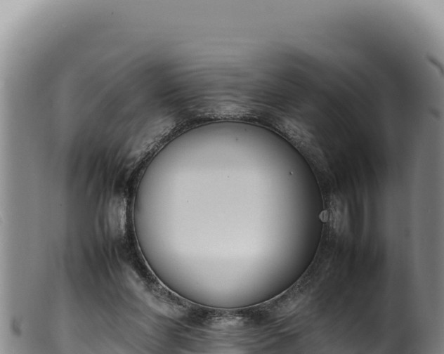 X0000099550206200805231159