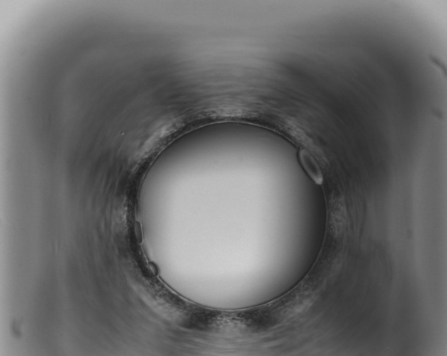 X0000099550207200805231159