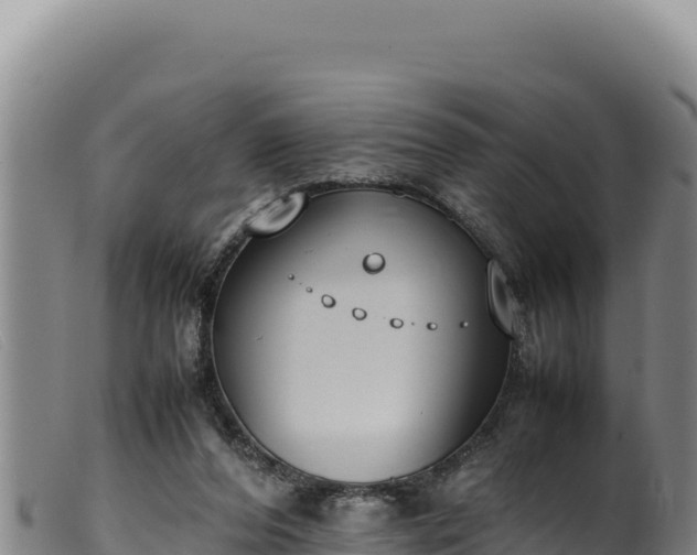 X0000099550208200805231159