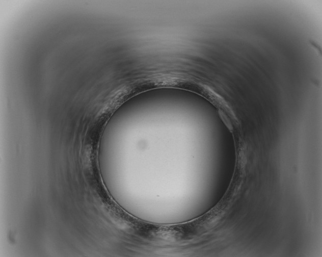 X0000099550209200805231159