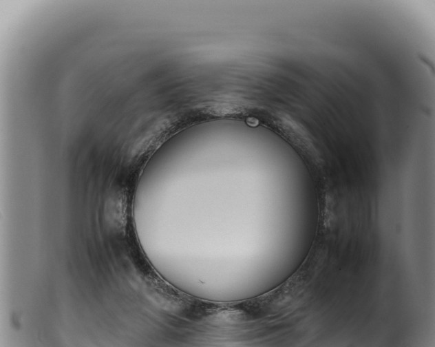 X0000099550210200805231159