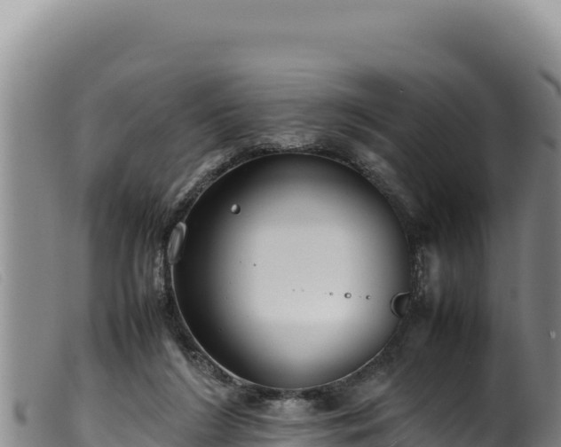 X0000099550212200805231159