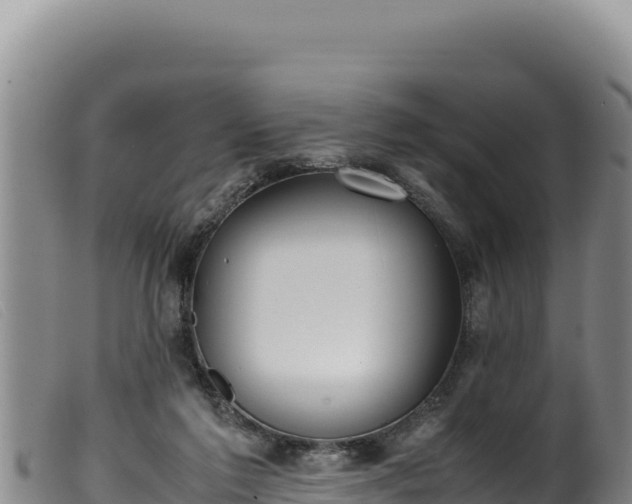 X0000099550213200805231159