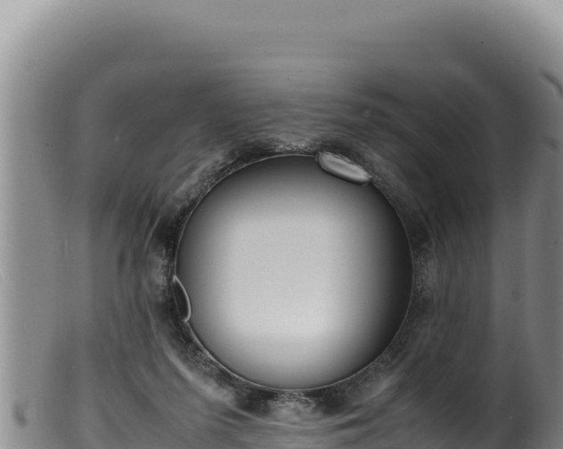 X0000099550215200805231159