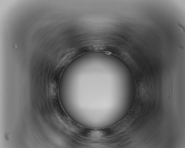 X0000099550218200805231159